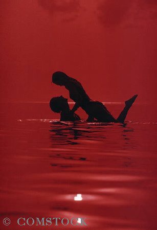 lover - the lovers