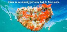love - a hearth for lover. asymbol of love..