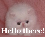 introduction - meek mannered hello