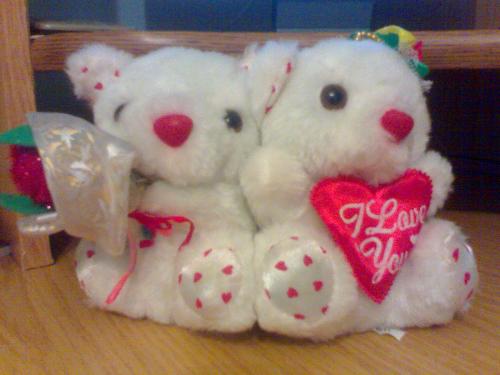 love - two bears in love