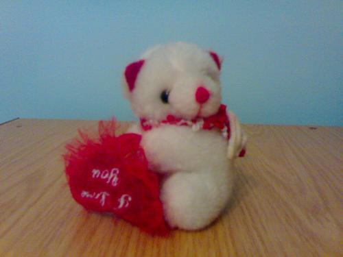love - singel bear in love
