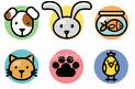 pets - cute cute pic