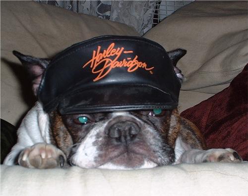 Dress Up Rin - My Husband bought this hat for her. She's thrilled.