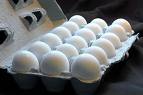 eggs - source of food.