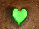 life - a green color heart