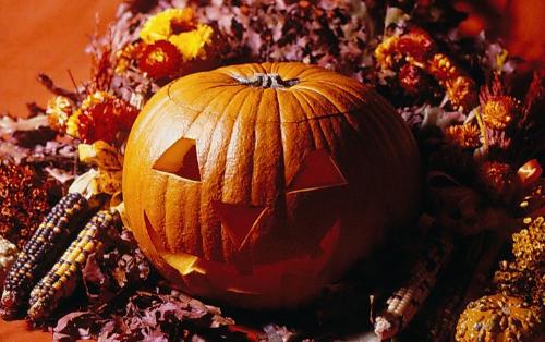 Halloween - image for Halloween