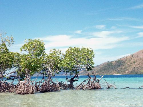 CYC Beach - This beach was our first stop in our 2-day island hopping tour.. And we were not disappointed. The water was incredibly clear, and the weather was so nice.. but the tour is just beginning and we were so excited to see the rest of the beaches of coron.