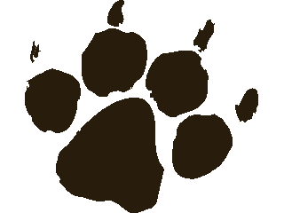 paw - paw print