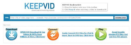 KeepVid screenshot - A screenshot of KeepVid - an online flash video downloader