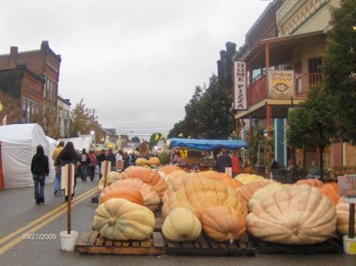 pumpkin - lots giant pumpkin