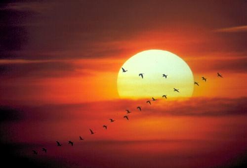 nature - sunset