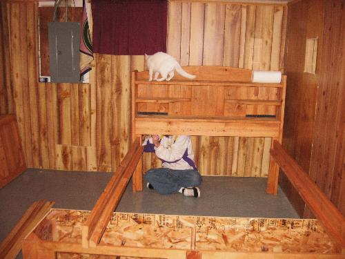 Son and his cat - My son setting his bed up again.