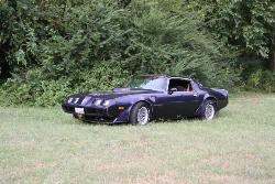 restored 79 trans am