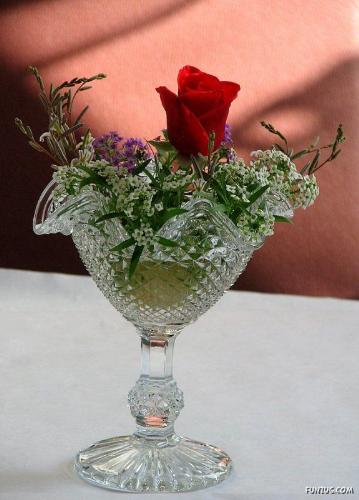 question and answers - bunch of flowers