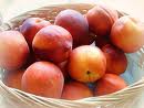 health - an apple a day keeps a doctor away.