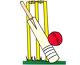 Cricket - Bat with a ball.....