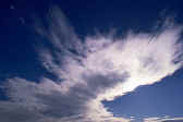 Clouds - Did you know there are so many different types of clouds.. I Love Clouds, to me they are Beautiful one of the many to me is because you can make many forms of art out of them. See many pictures, WOW... 