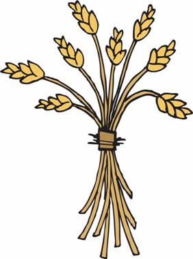 Harvest - Plant seeds which produce a good harvest