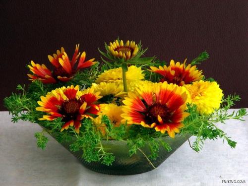 questions and answers - a bunch of flowers