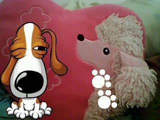 my favorate pillow - my favorite pillow. this is the first gift of my special someone