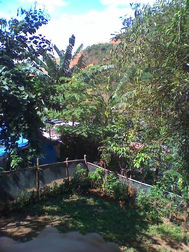 in antipolo - backyard