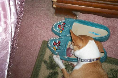 My Weird Baby - She loves shoes and think I can't see her!