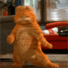 love this dance - cat on dance floor