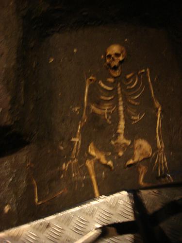 Jorvik Viking Centre view - Last but not least you can investigate bones including a full skeleton, which were found on the land where you are standing. The skeleton is thought to be that of a warrior, who suffered many serious injuries in battle.