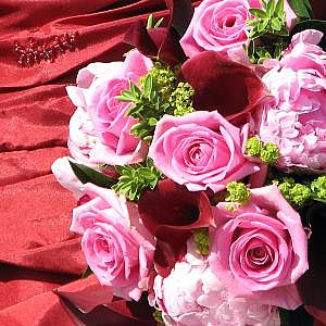 Roses - The kind of flowers which most every girl would ever like to recieve.