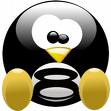 hosting - web hosting