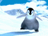 happy feet - dance tap