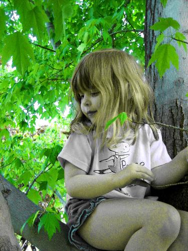 Kylie in green - Kylie sitting in tree, with color enhancement to greens