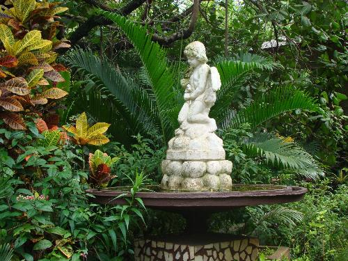 birdbath - This birdbath is centric to my garden where birds of all hues and sizes come for a splash. The birdbath is so designed so that all birds can safely swim in there.