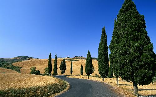 Clean Valley - Clean and clear valley