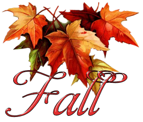 The season of fall - Do you like fall? I think the colors are pretty though I don't really like the cold.