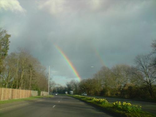 nature - is a beautiful of colors