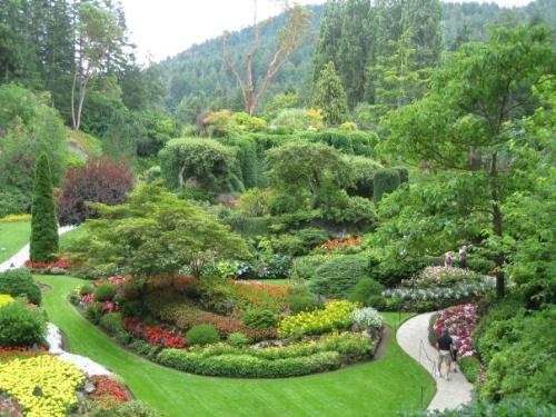 garden - beautiful garden