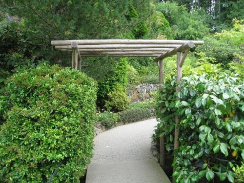 garden - walk path in garden