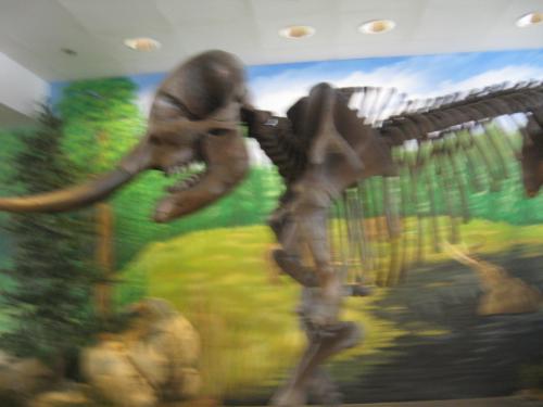 Dinosaur at the Indianapolis Children's Museum - Dinosaur at the Indianaplis Children's Museum in Indianapolis, IN