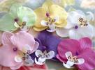 Deeorchid's - My hobbies