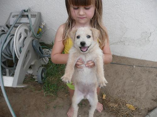 Chey and Shiloh -  pick of grand daughter and new puppy