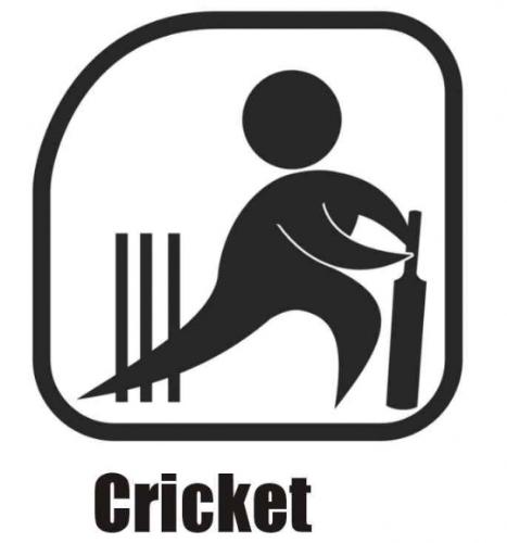 cricket - cricket logo computer generated