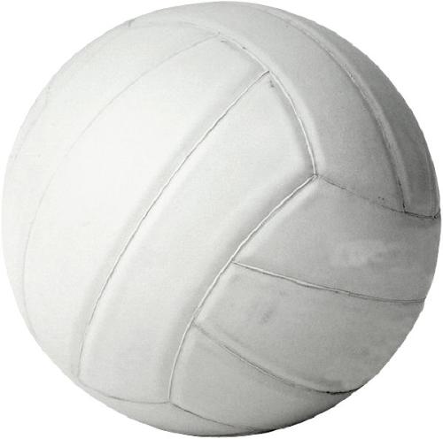vollyball - picture of a vollyball..!