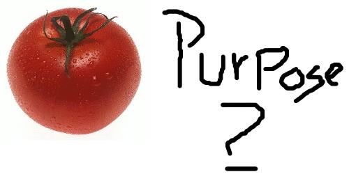 Tomatoes - Do plants feel pain? Some say yes. Some say no. Nonetheless, there is a planty purpose.
*
Many plants use fruits and their consumption as part of a reproduction strategy. When they got humans in on their game, they got their reproduction to skyrocket.