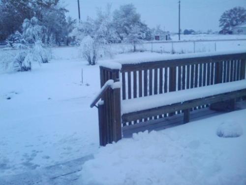 Winter Storm - Winter Storm of 09