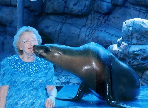 Kissed! - Kissed by a seal
