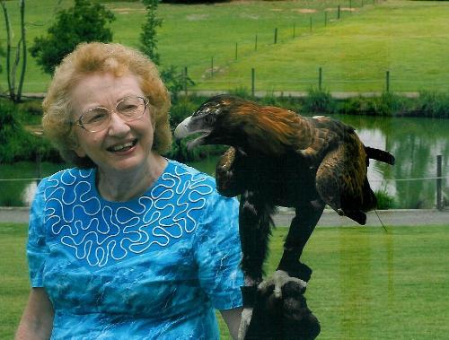 Wedge-tailed eagle - With Omega the Eagle