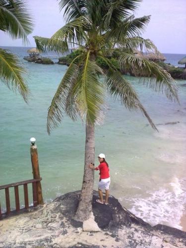 enjoying life - enjoying life by the sea