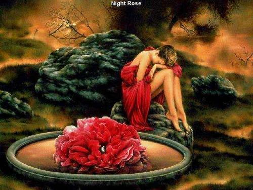 dreamer - sleep night rese