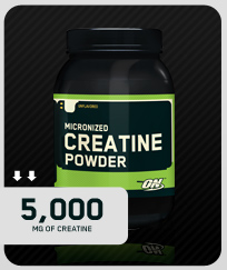 micronize creatine powder by ON - for strength and power